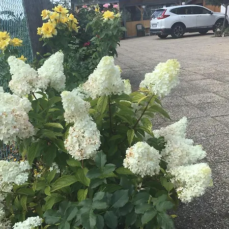 In - Balaton 18867 Nyaraló Gyenesdiás