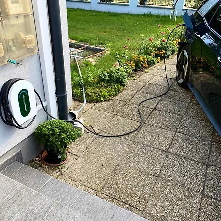 In - Balaton 18867 גיינסדיאס