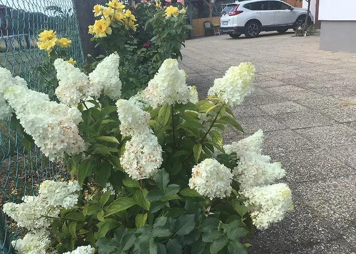 In - Balaton 18867 בית נופש גיינסדיאס