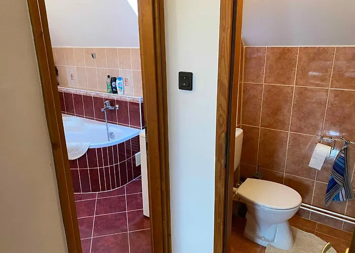 In - Balaton 18867 *