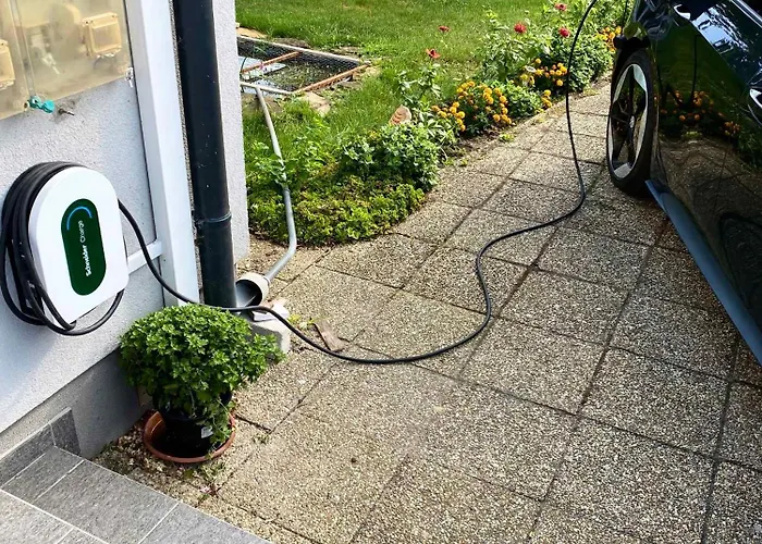 In - Balaton 18867 גיינסדיאס