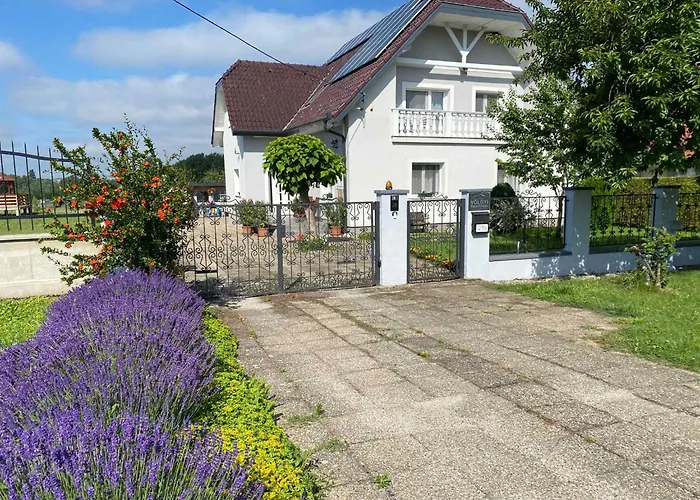 In - Balaton 18867 בית נופש